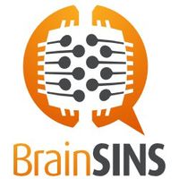BrainSINS logo