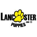Puppies for Sale logo
